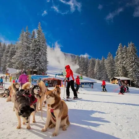 Grand Monastery Deluxe 5 B 3 Apartment Pamporovo