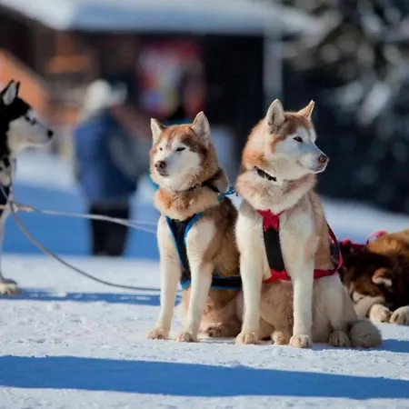 Apartment Grand Monastery Deluxe 5 B 3 *