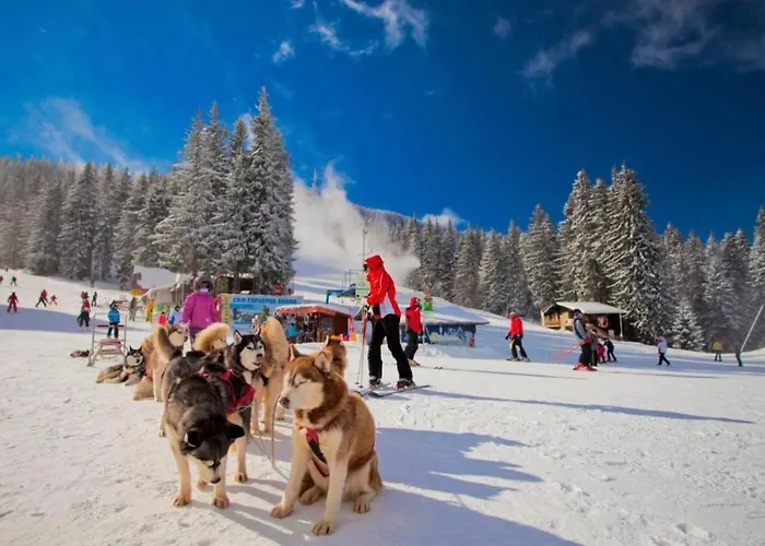 Grand Monastery Deluxe 5 B 3 Apartment Pamporovo