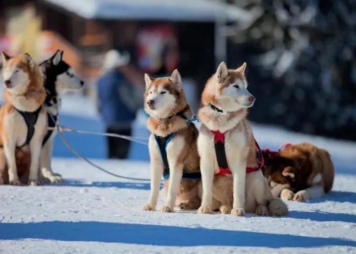 Apartment Grand Monastery Deluxe 5 B 3 *